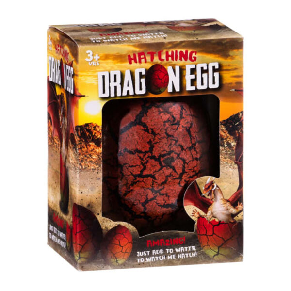 Яйцо питомец Hatching Dragon Egg