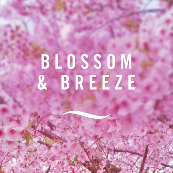 Освежитель воздуха для ванной комнаты Febreze Blossom & Breeze