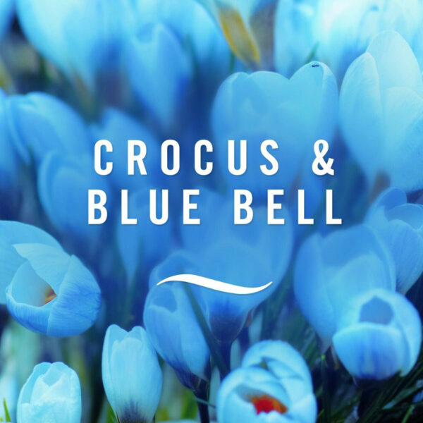 Освежитель воздуха для ванной комнаты Febreze Crocus & bluebell