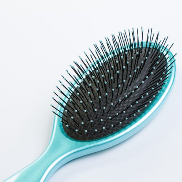 Disney Princess Wet or Dry Hair Brush