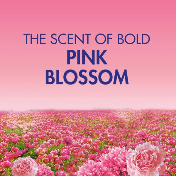 Гель для стирки Bold Gel Pink Blossom 1056 мл