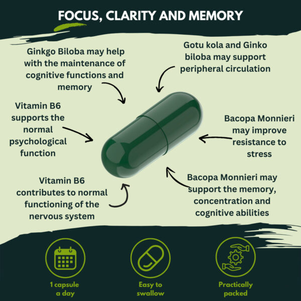 Витамины Nutra King Brain Booster Food Supplement 96 capsules