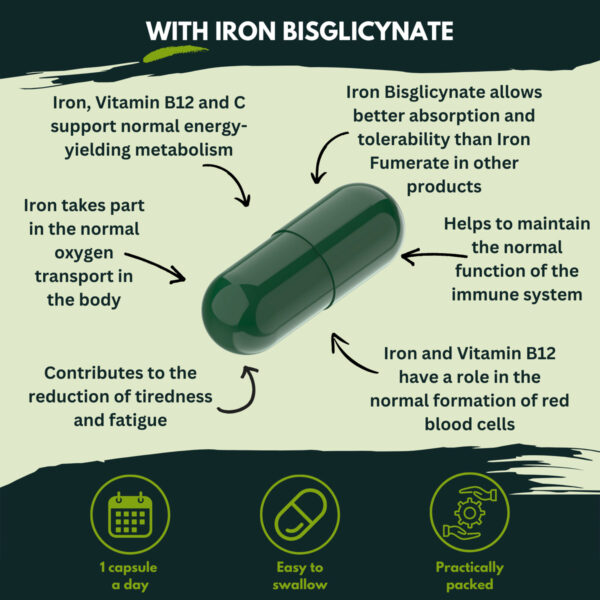 Витамины Nutra King Ironglobin 96 capsules