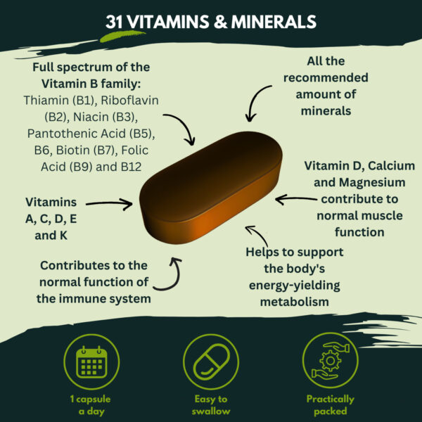 Витамины Nutra King Multivitamins For Men Food Supplement 96 tablets