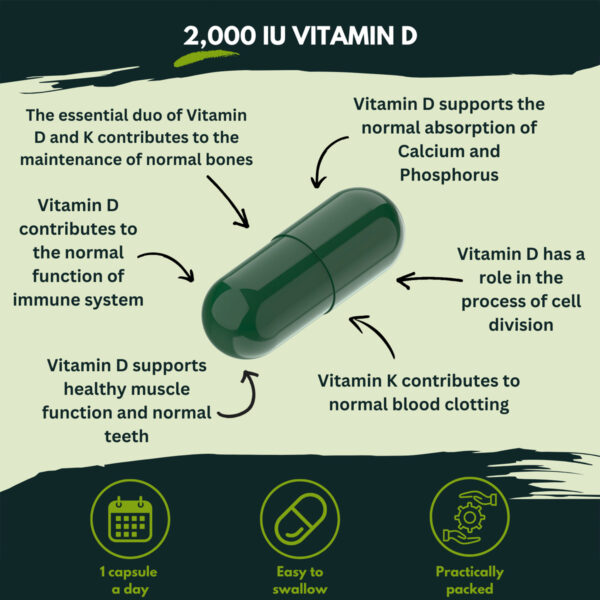 Витамины Nutra King Vitamin D3+K2 2000 IU 96 capsules