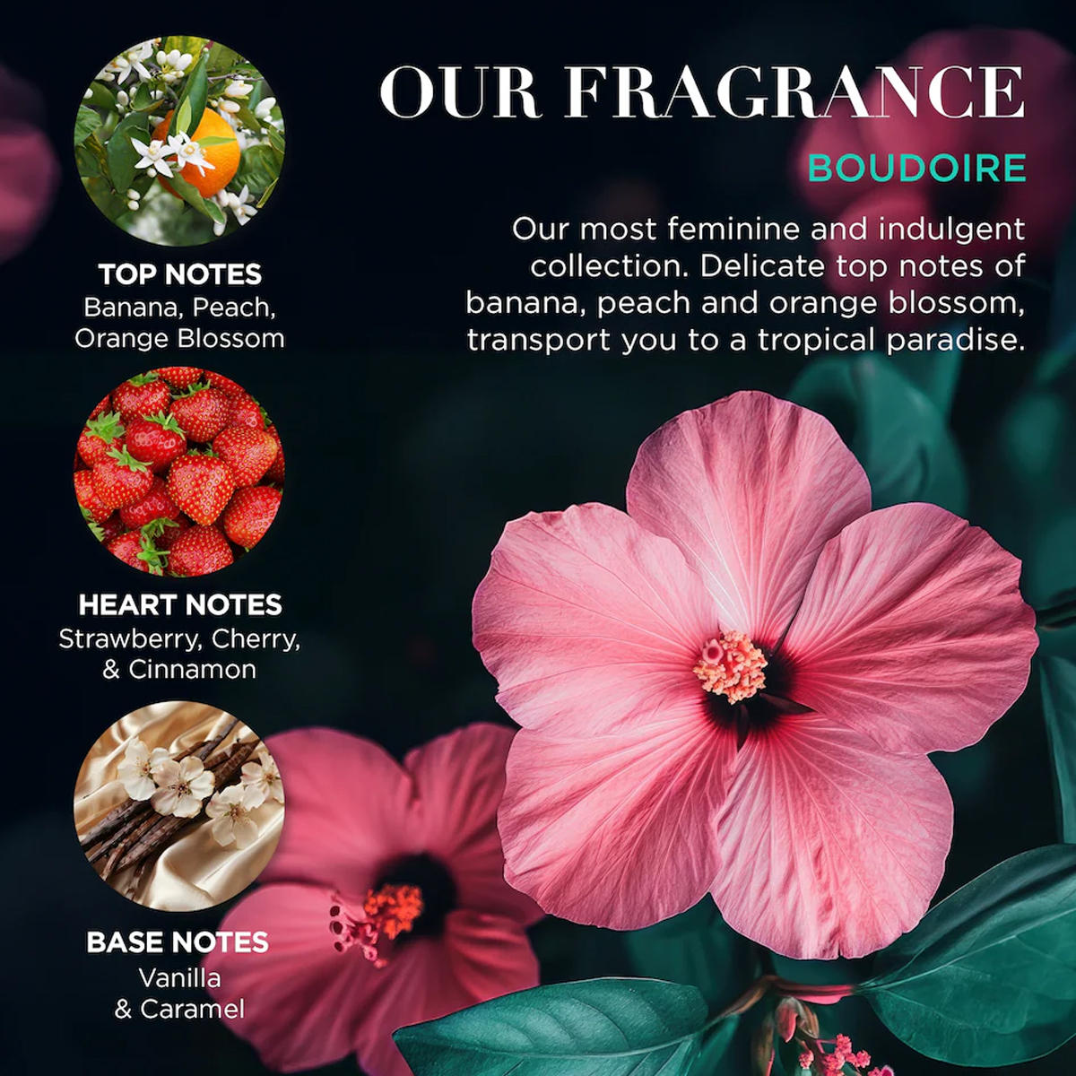 Подарочный набор Baylis&Harding Boudoire Keepshake Boxes 4 Подарочный набор Baylis&Harding Boudoire Keepshake Boxes