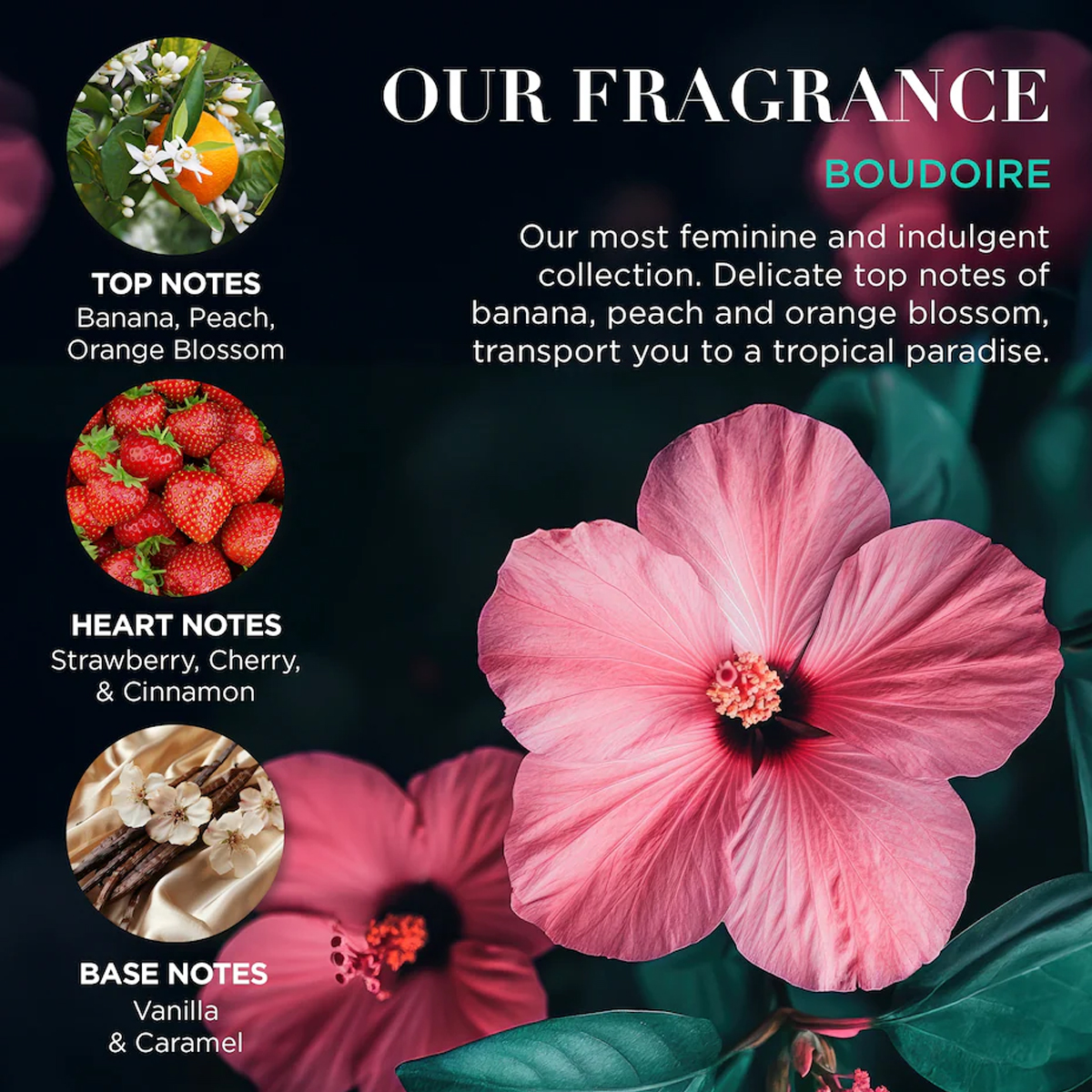 Подарочный набор Baylis&Harding Boudoire Luxury Hand Cream Trio 2 Подарочный набор Baylis&Harding Boudoire Luxury Hand Cream Trio